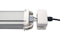 Σειρά 2ft Dualrays τρι παροχή ηλεκτρικού ρεύματος λαμπτήρων IP66 IK10 Boke απόδειξης των πλαστικών οδηγήσεων κατοικίας D5 20W με τον αισθητήρα μικροκυμάτων
