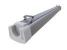 Σειρά Dualrays D5 4ft 50W τρι απόδειξη ελαφρύ 160LmW 5 ετών οδηγήσεων εξουσιοδότησης