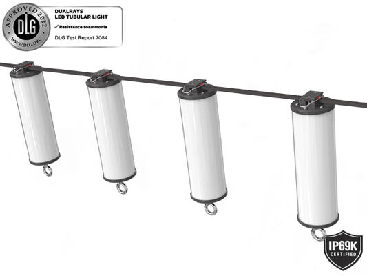 Batten ελαφρύ 160LMW 5ft των τρι οδηγήσεων απόδειξης των υπαίθριων και εσωτερικών οδηγήσεων σειράς 50W Dualrays D2 πολύ