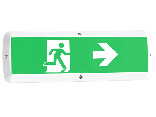 Φωτιστικό εξωτερικού χώρου LED 8W με στεγανότητα, λειτουργία έκτακτης ανάγκης και αισθητήρα κίνησης IP65