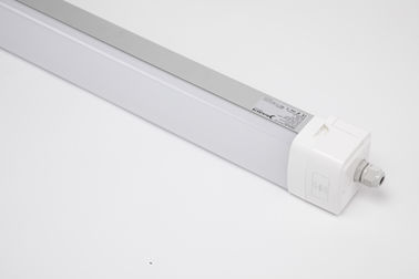 Σειρά Dualrays D5 4ft 50W τρι απόδειξη ελαφρύ 160LmW 5 ετών οδηγήσεων εξουσιοδότησης