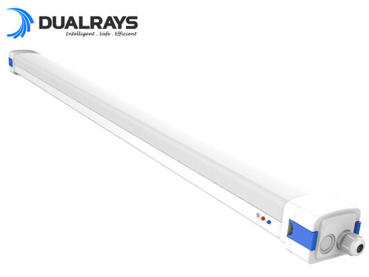 5ft/62W D5 LED αδιάβροχο φως με δυνατότητα DIP Switchable Power/3CCT 160LPW Απόδοση 5 χρόνια Εγγύηση